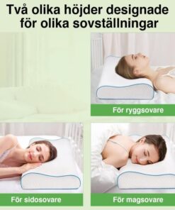 2 75ee3777 ba00 4a9e b5fa dc83cd381fdd