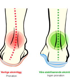 3 a81f80d3 4c5f 4e76 b22b 018ee53d65eb